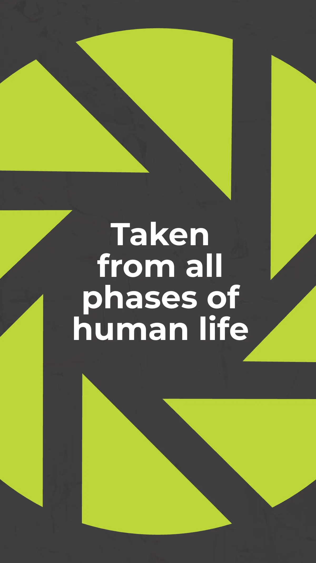 Free Photo Art Gallery Instagram Story Template to Edit Online