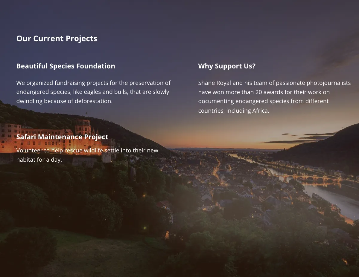 Free World Photography Day Brochure Template to Edit Online