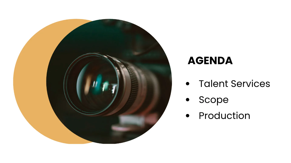 Free Professional Agency Presentation Template to Edit Online