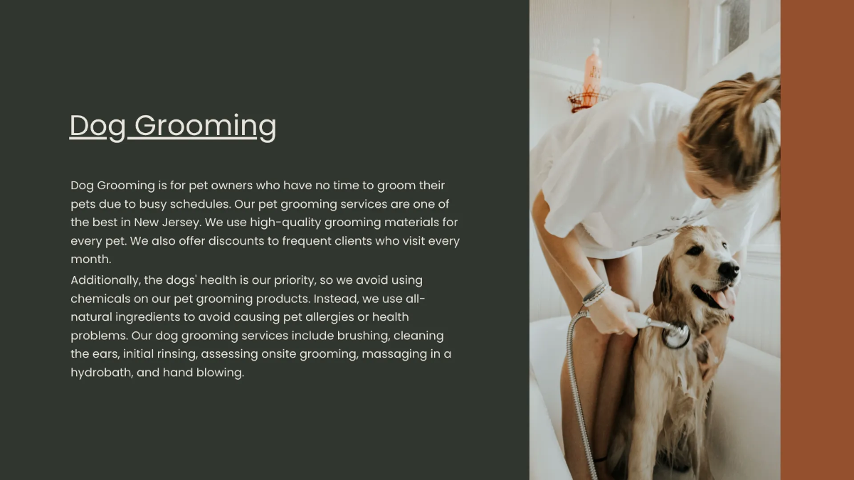 Free Startup Investor Presentation Template to Edit Online