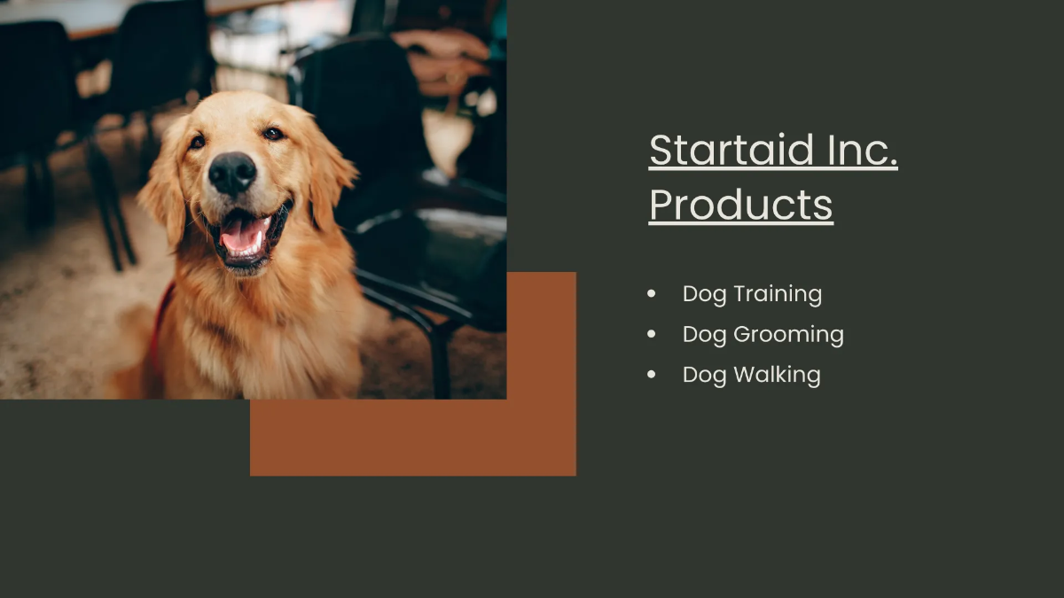 Free Startup Investor Presentation Template to Edit Online