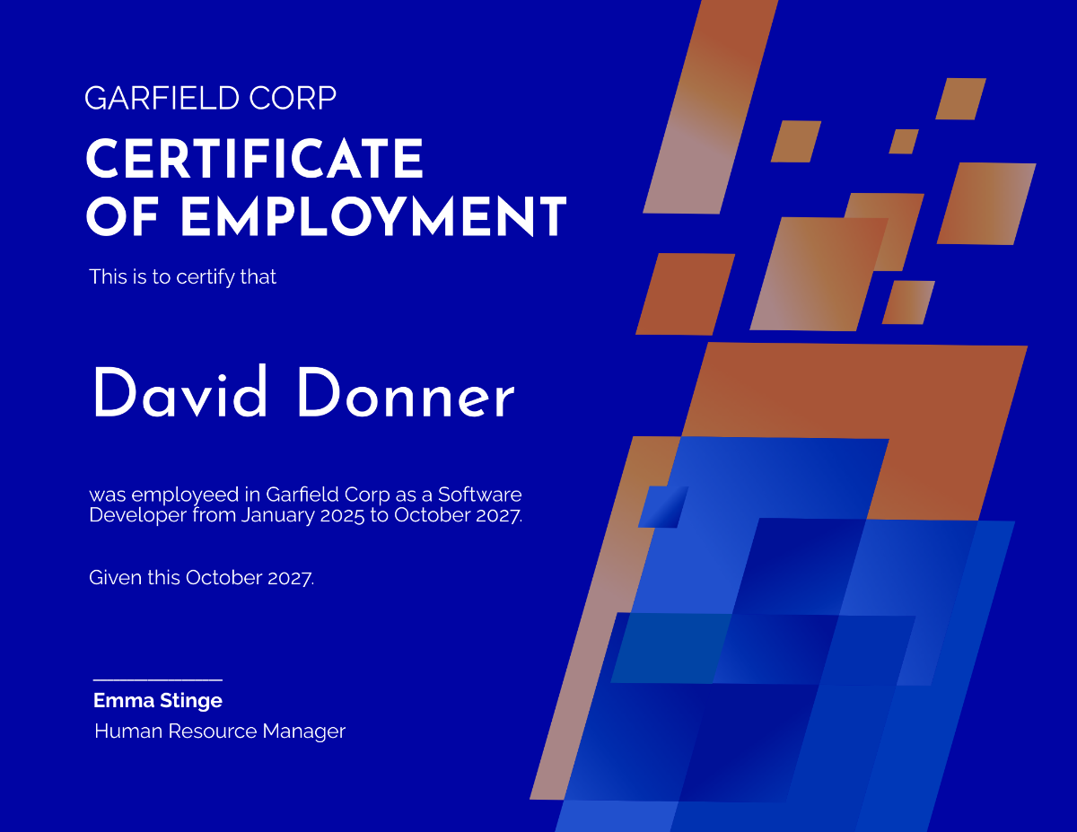 Experience Certificate for Software Developer Template