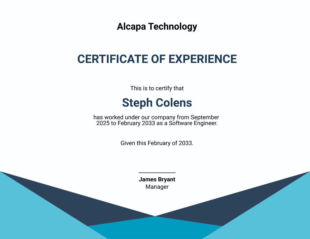 Software Experience Certificate Template