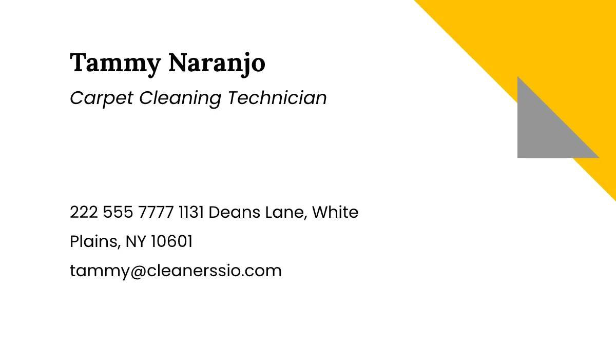 Free Carpet Cleaning Business Card Template to Edit Online