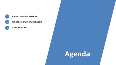 Free Professional Cleaning Services Presentation Template to Edit Online