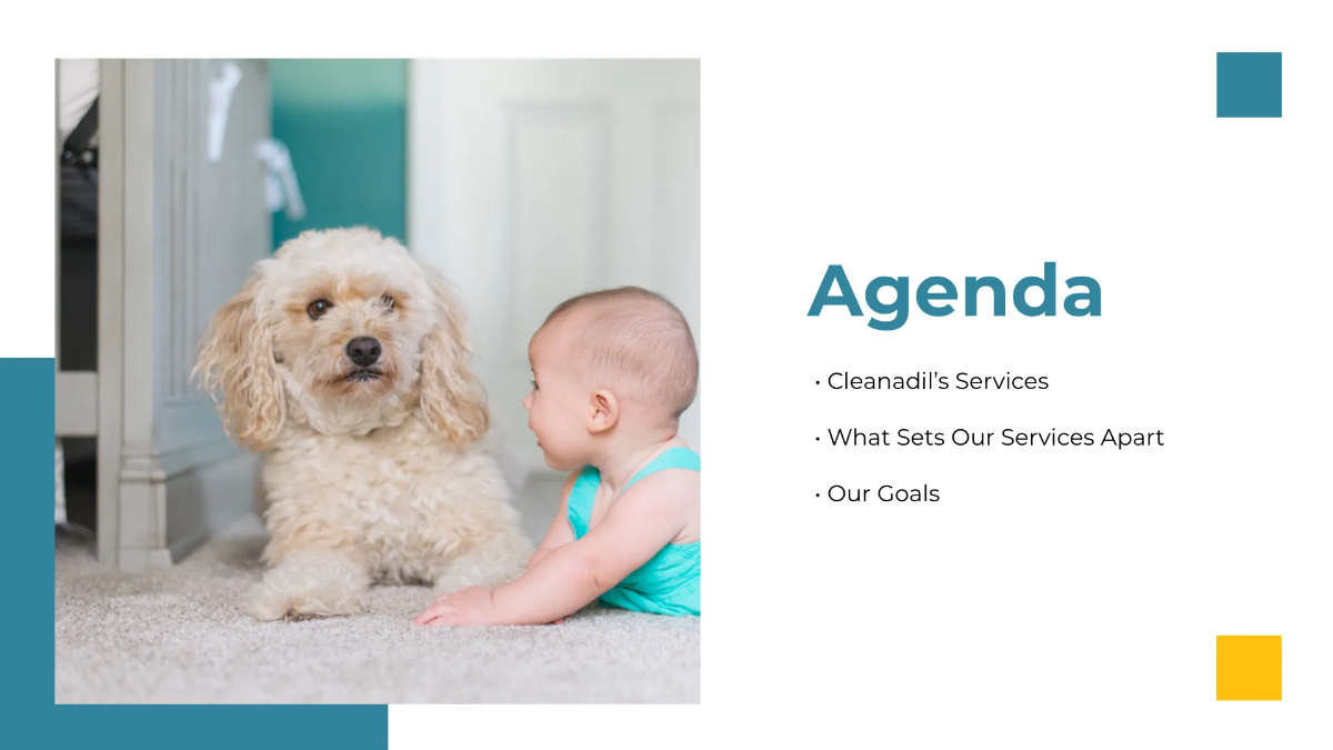 Free Carpet Cleaning Service Presentation Template to Edit Online