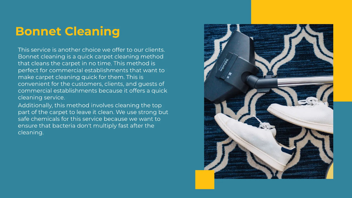 Free Carpet Cleaning Service Presentation Template to Edit Online