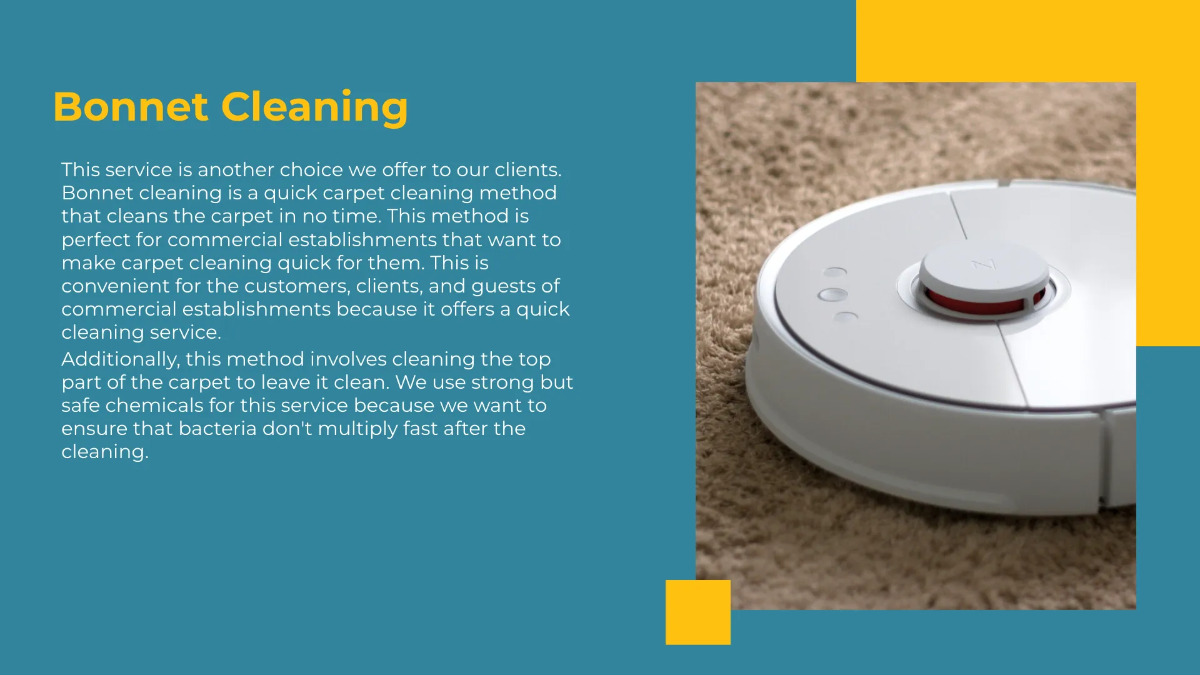 Free Carpet Cleaning Service Presentation Template to Edit Online