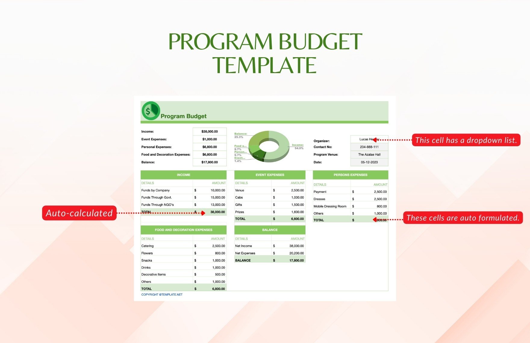 Program Budget Template