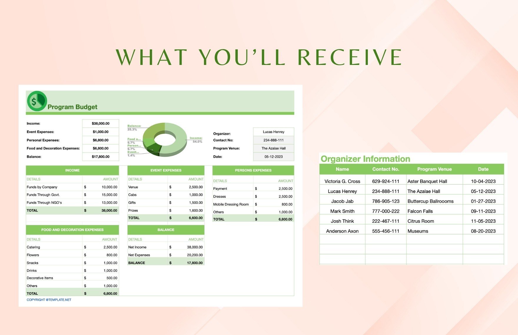 Program Budget Template