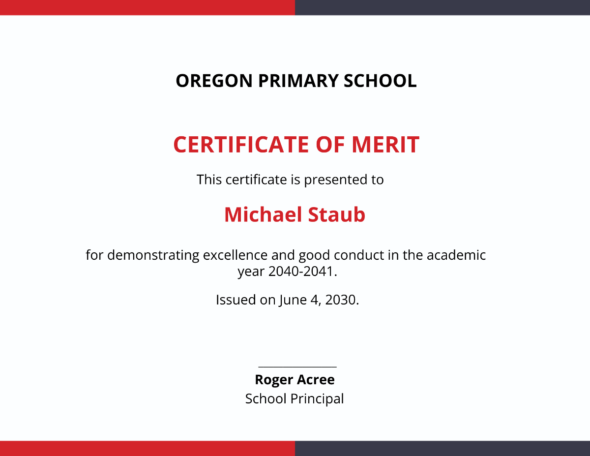 Recognition Of Merit Certificate