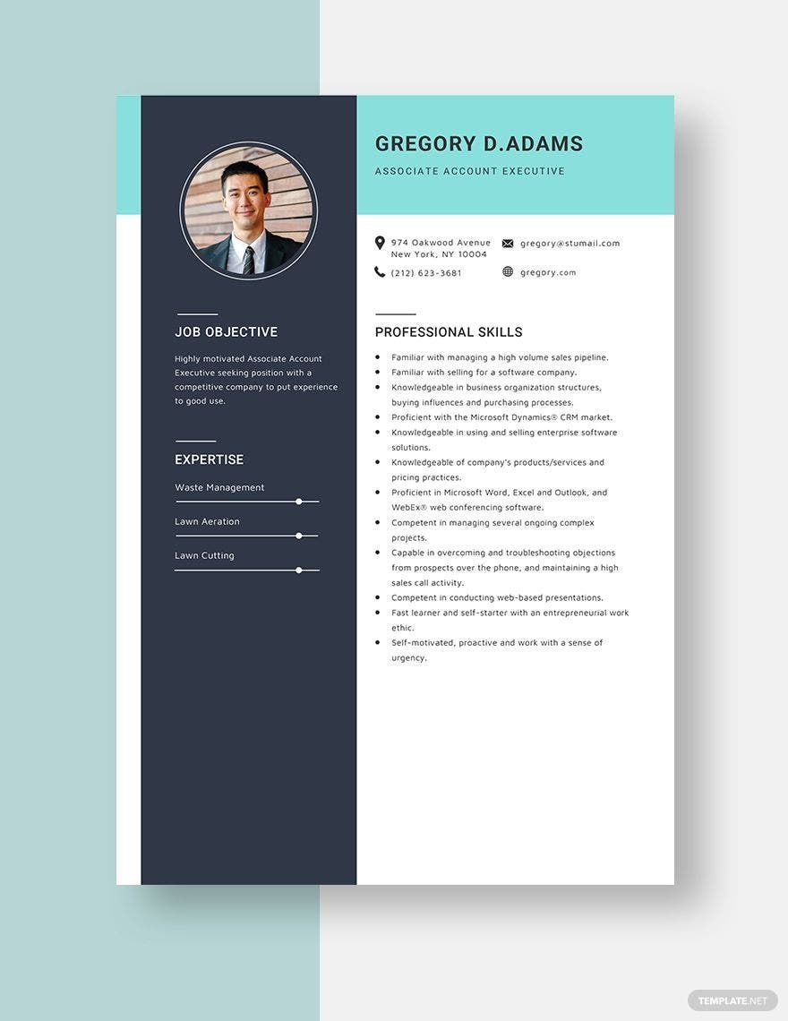 Associate Account Executive Resume Template