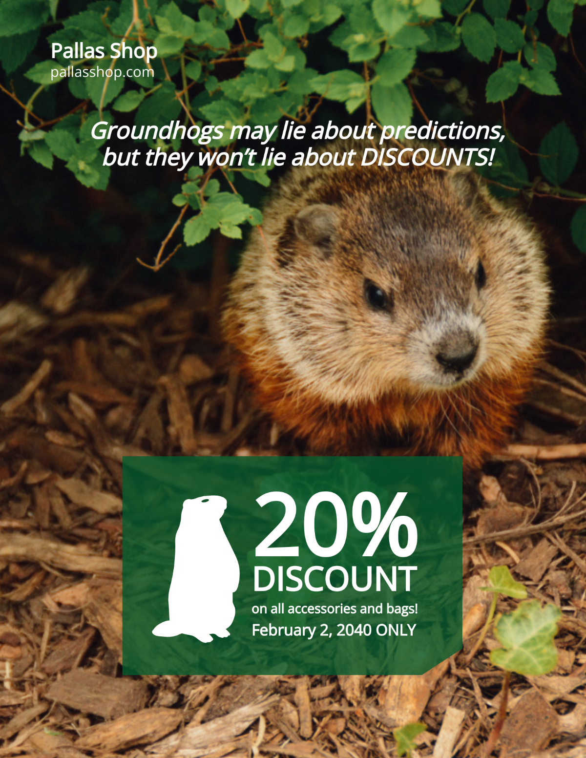 Funny Groundhog Day Flyer Template