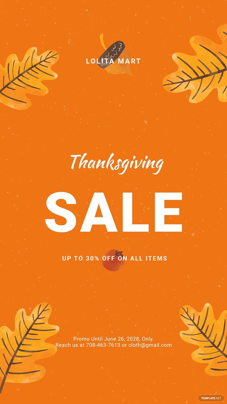 Holiday Special Sale Instagram Story Template