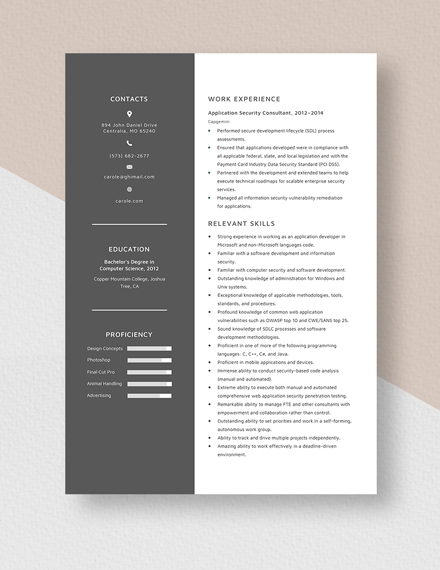Application Security Consultant Resume Template