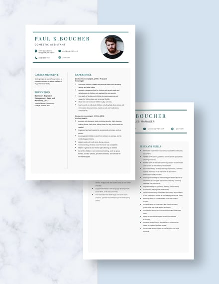Domestic Assistant Resume Download