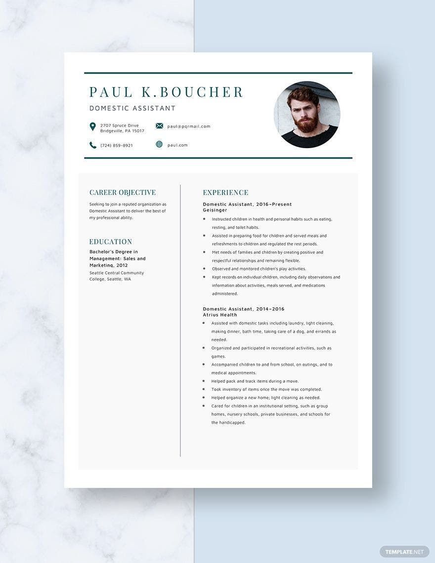 Domestic Assistant Resume