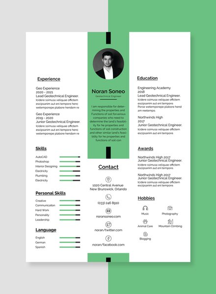 IT Professional Experience Resume Template in Adobe Photoshop, InDesign ...