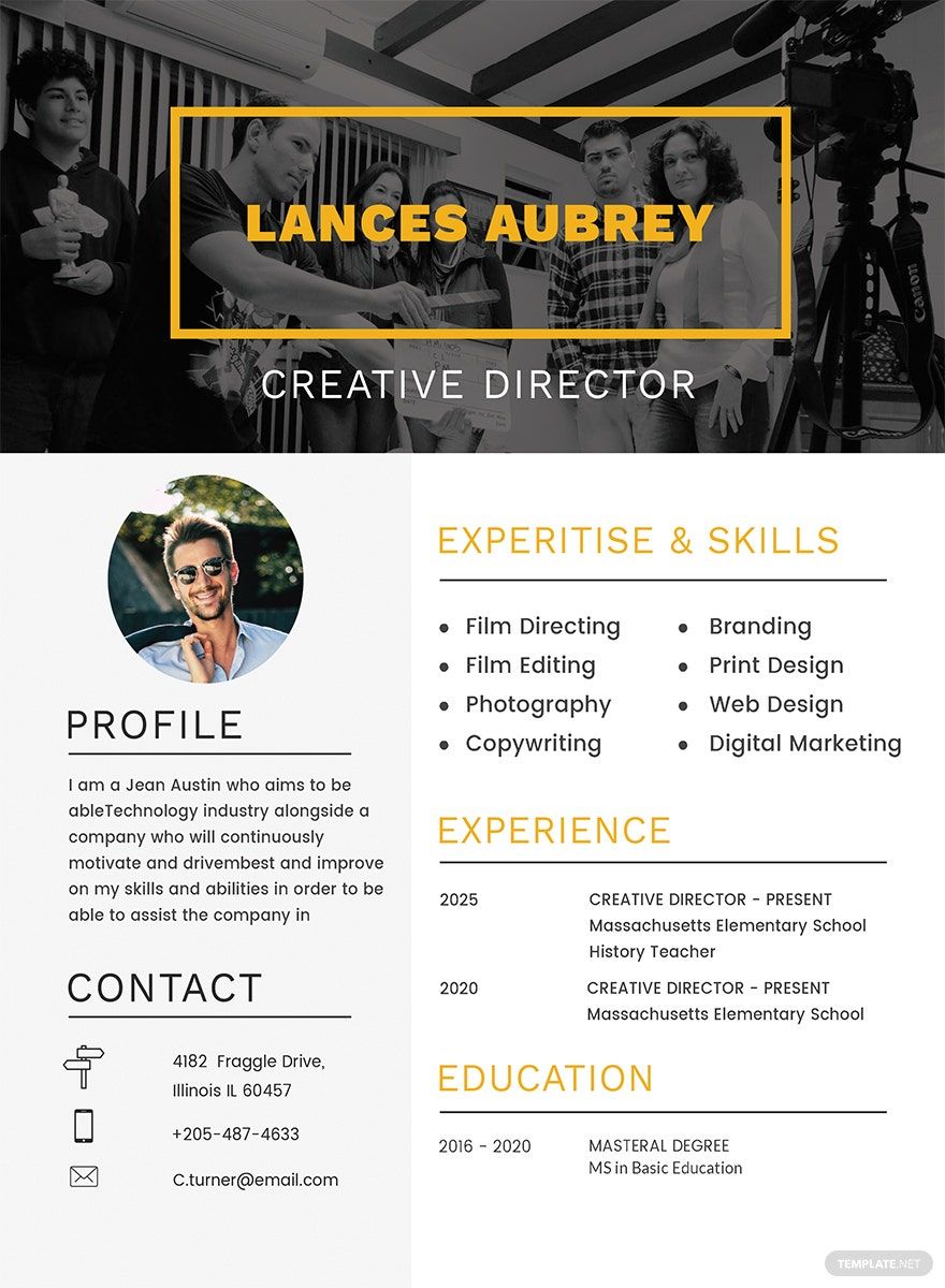 Director Resume in Word, PSD, Apple Pages, Publisher