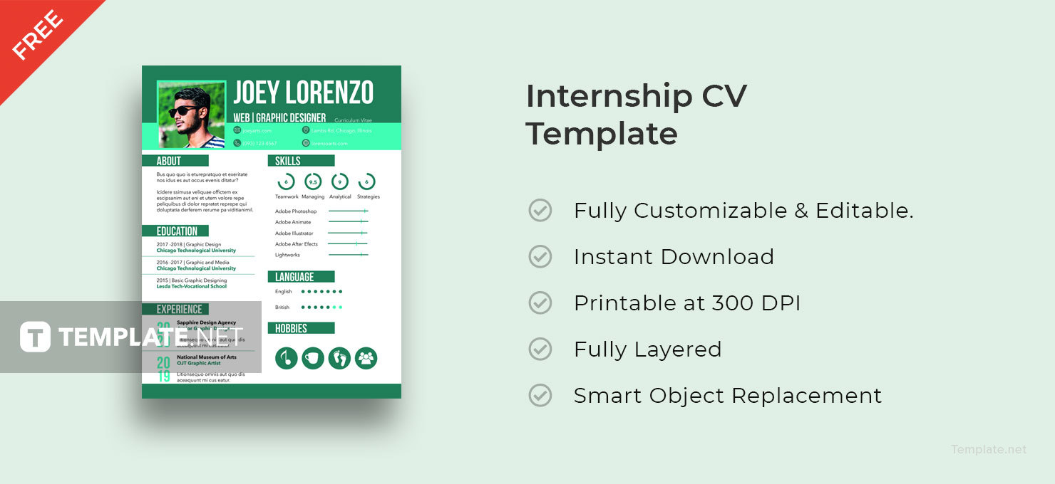 Free Internship Cv And Resume Template In Adobe Indesign | Template.Net