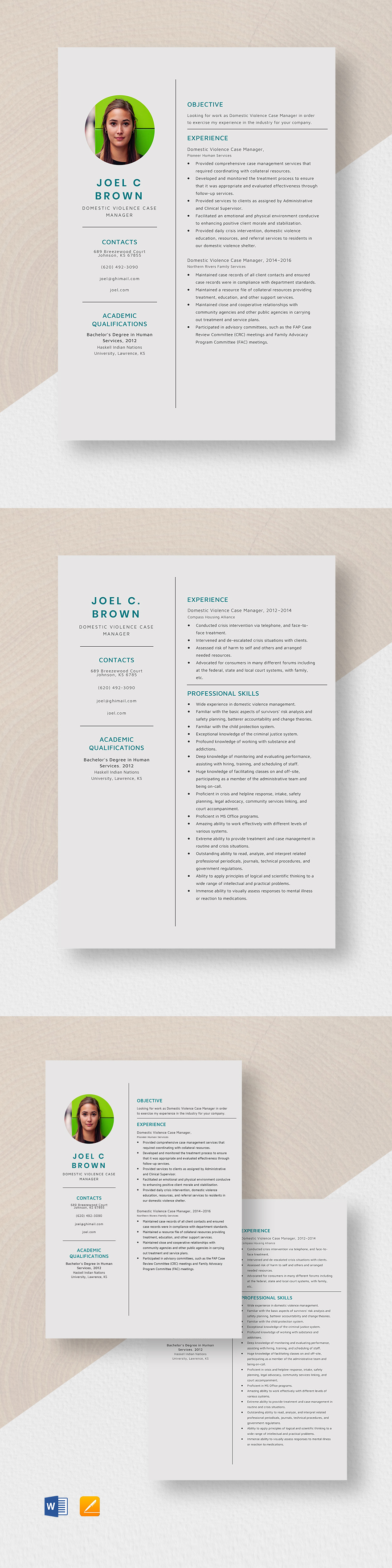 domestic violence case manager resume