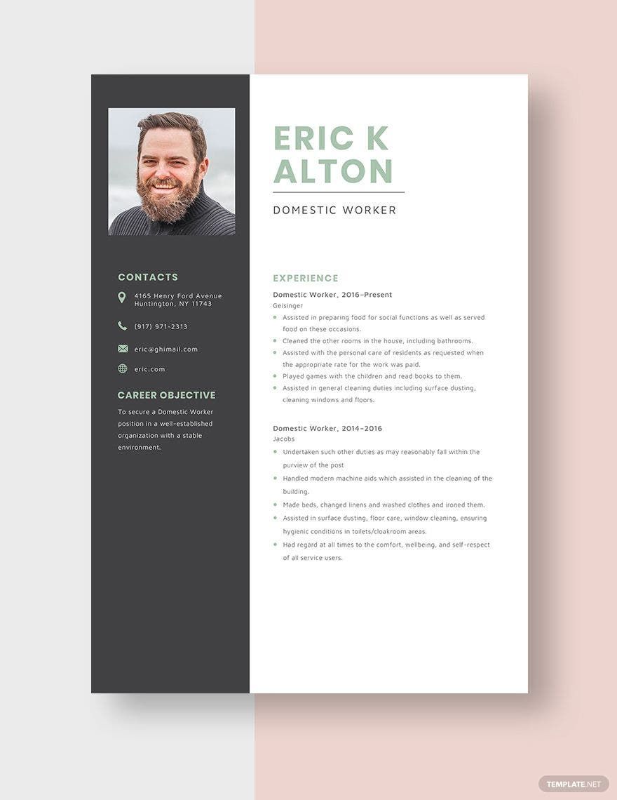 Free Domestic Worker Resume Template