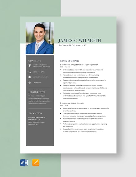 ECommerce Architect Resume Template  Word, Apple Pages  Template.net
