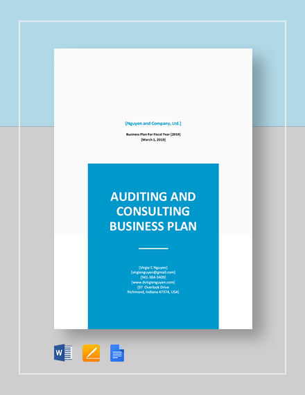 auditing and consulting business plan pdf