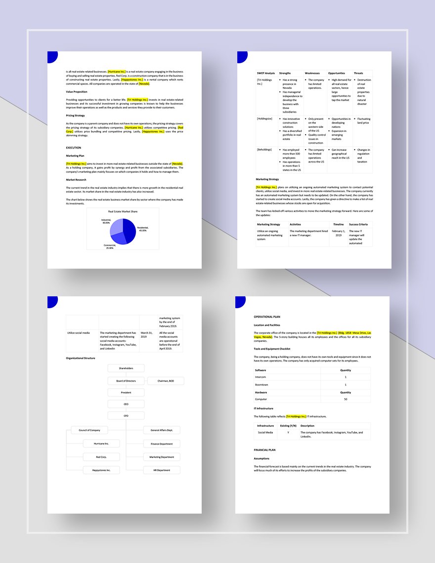 Holding Company Business Plan Template