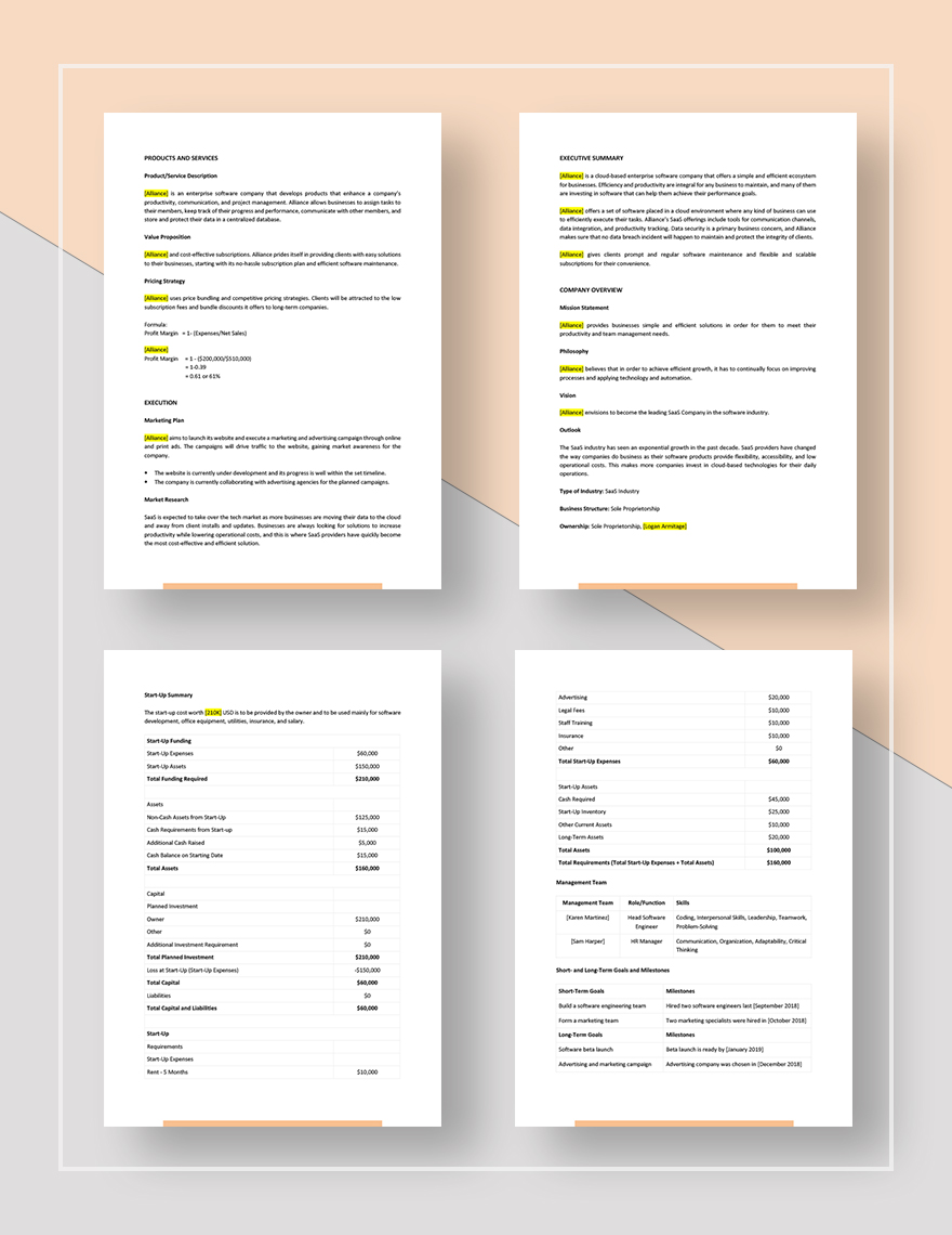 Saas Business Plan Template in Word Pages Google Docs Download