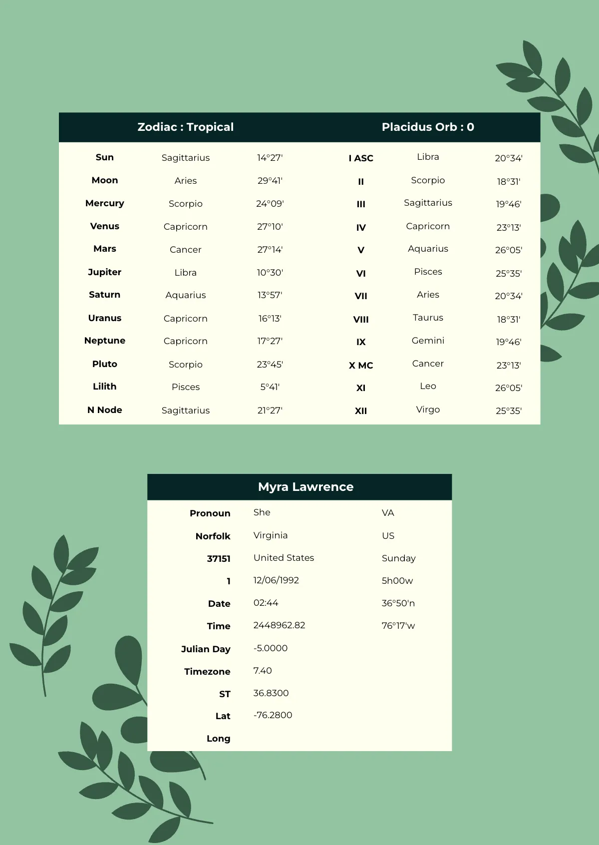 Free 2 Birth Chart Template to Edit Online