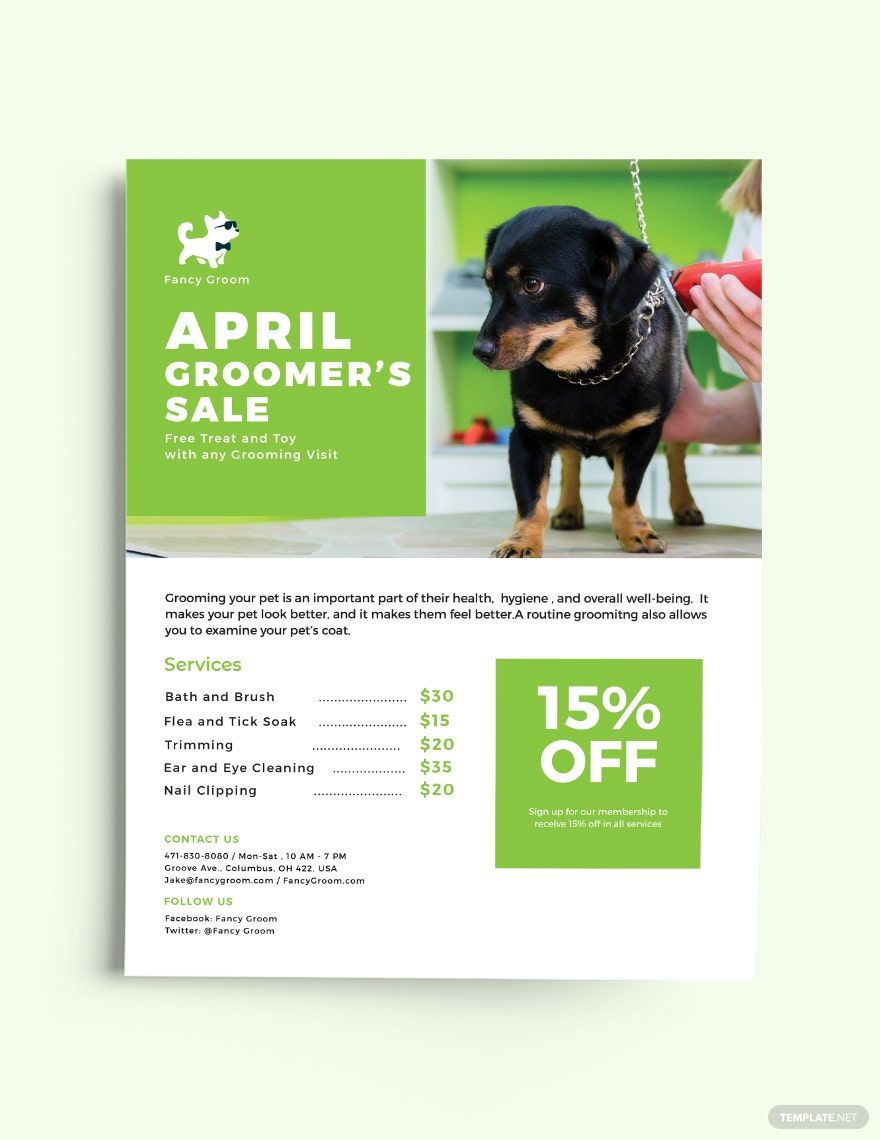 Free Pet Grooming Flyer Template Download In Word Google Docs 