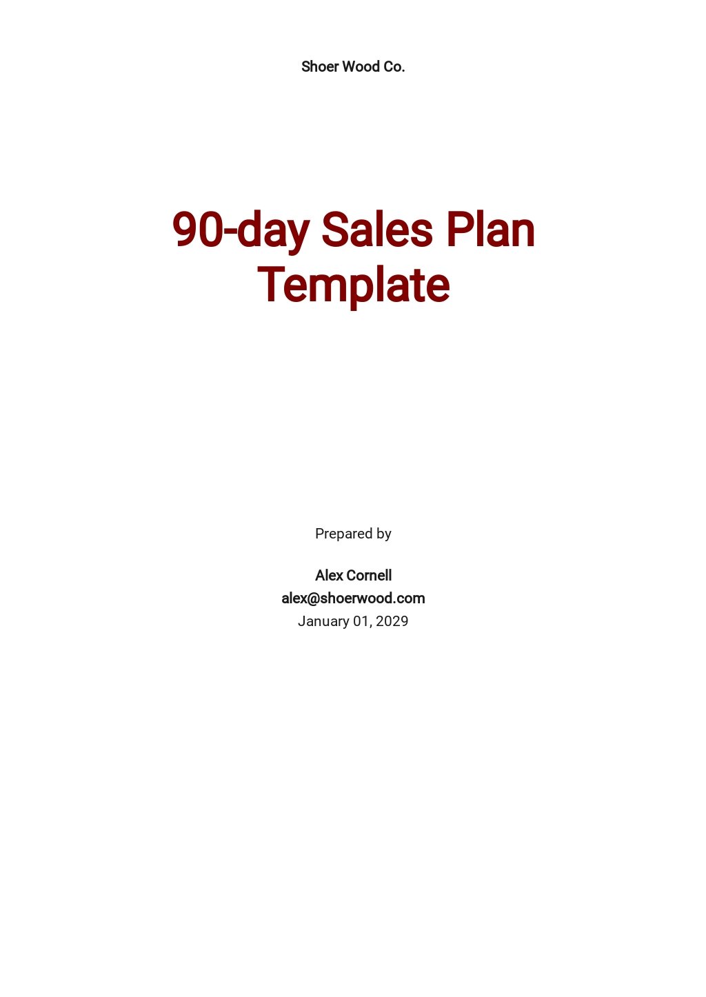 90 day marketing plan docs template