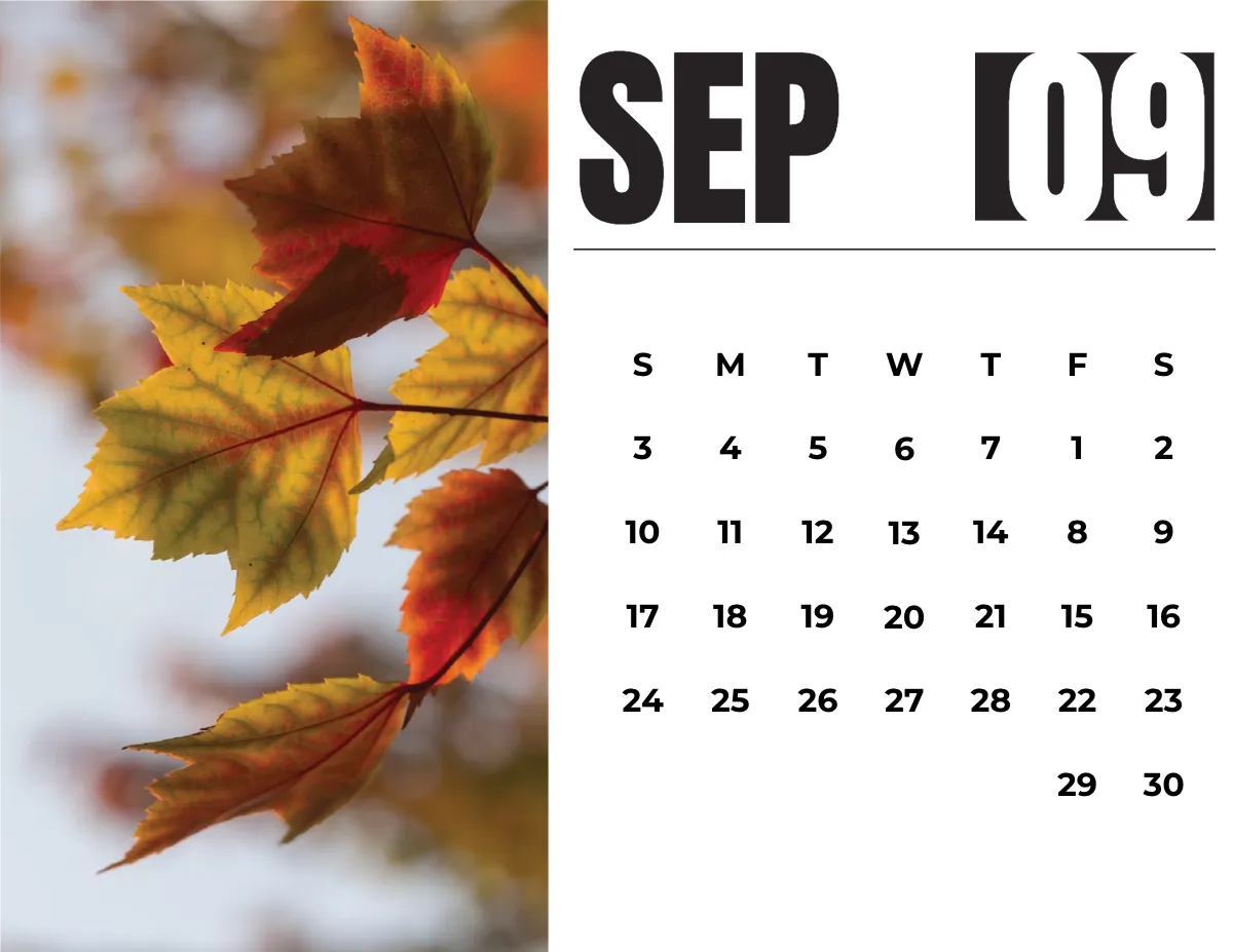 Free 2023 Photo Calendar Template to Edit Online