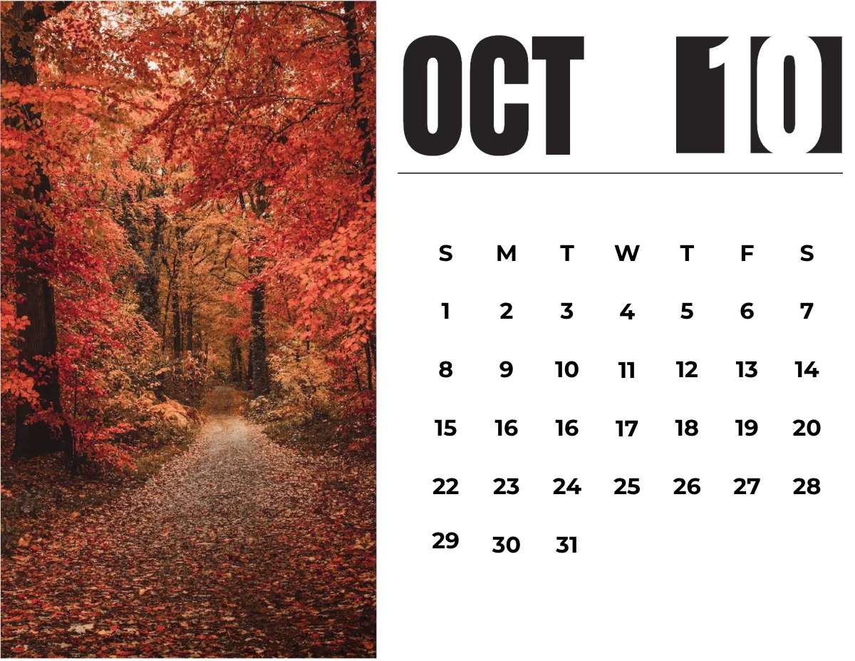 Free 2023 Photo Calendar Template to Edit Online