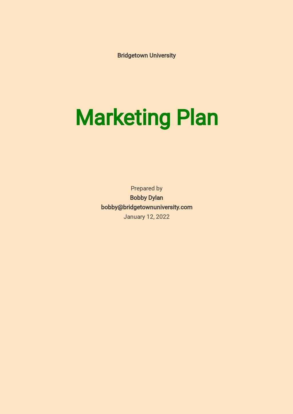basic-marketing-plan-template-free-pdf-google-docs-word-pdf