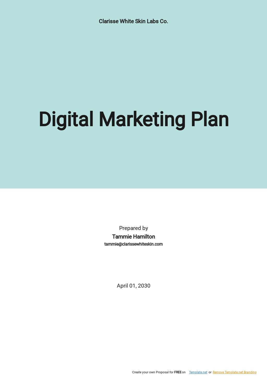 digital marketing business plan doc