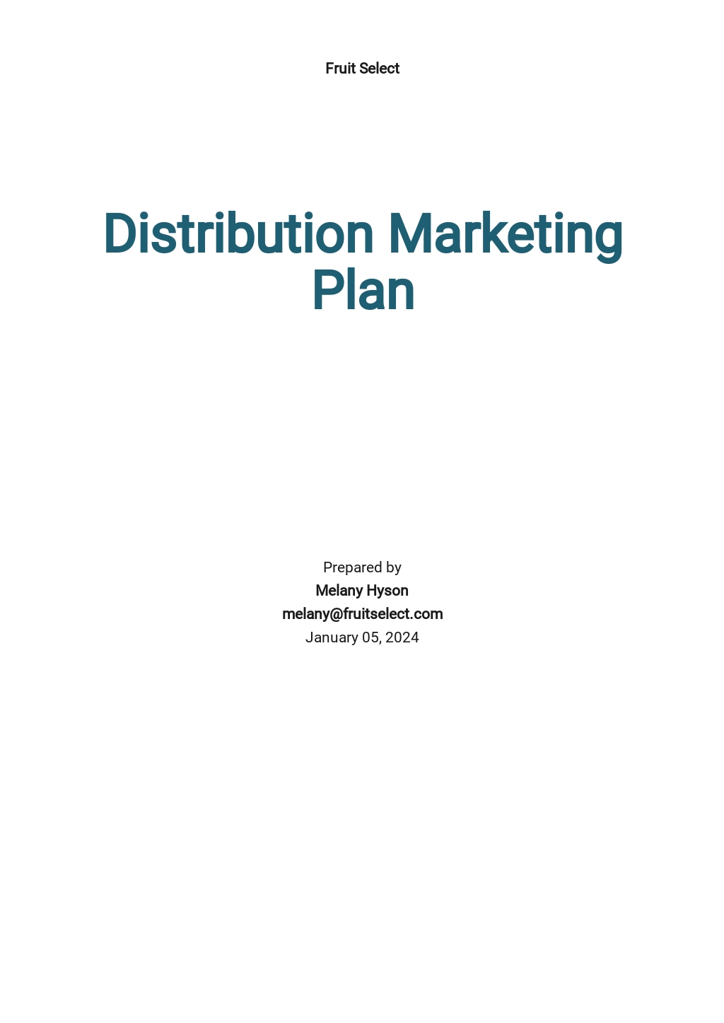 Distribution Marketing Plan Template.jpe