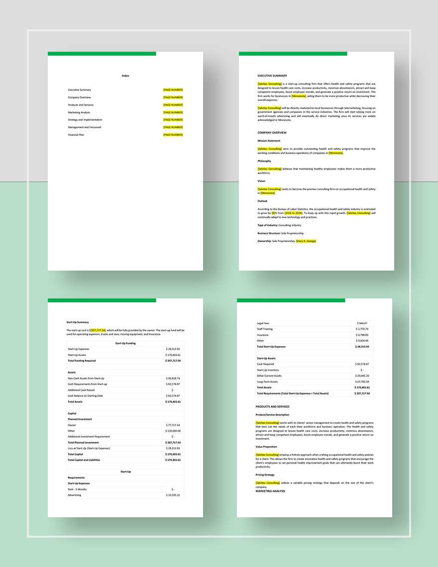 Health And Safety Plan Template Google Docs Word Apple Pages 