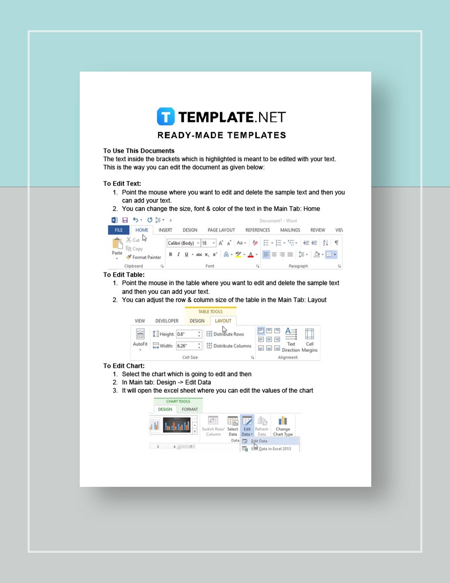 Hospital Marketing Plan Template in Word Pages Google Docs Download