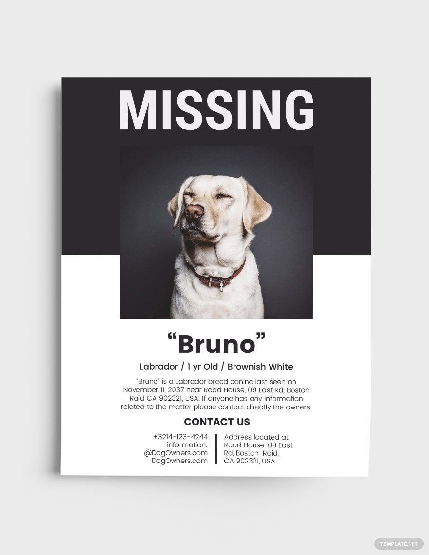 Dog Lost Flyer Template