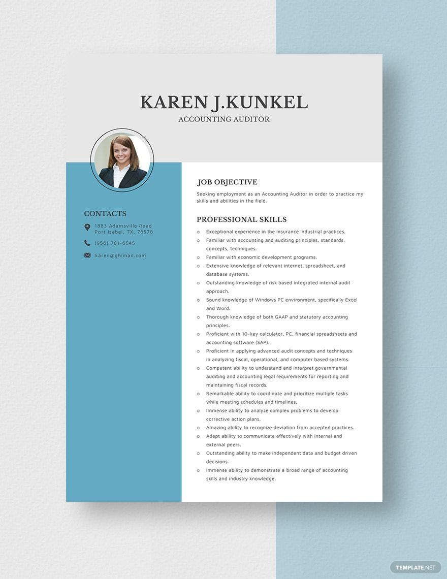 Accounting Auditor Resume