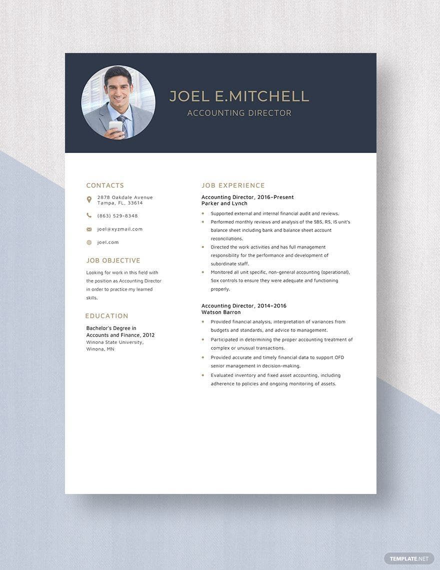 Accounting Director Resume