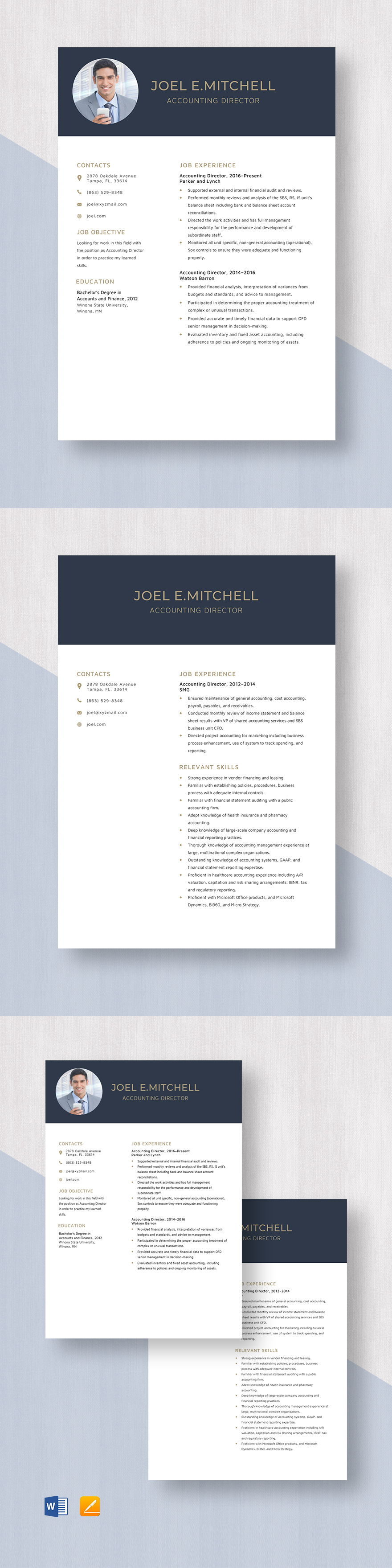 free-loss-prevention-director-resume-template-word-apple-pages
