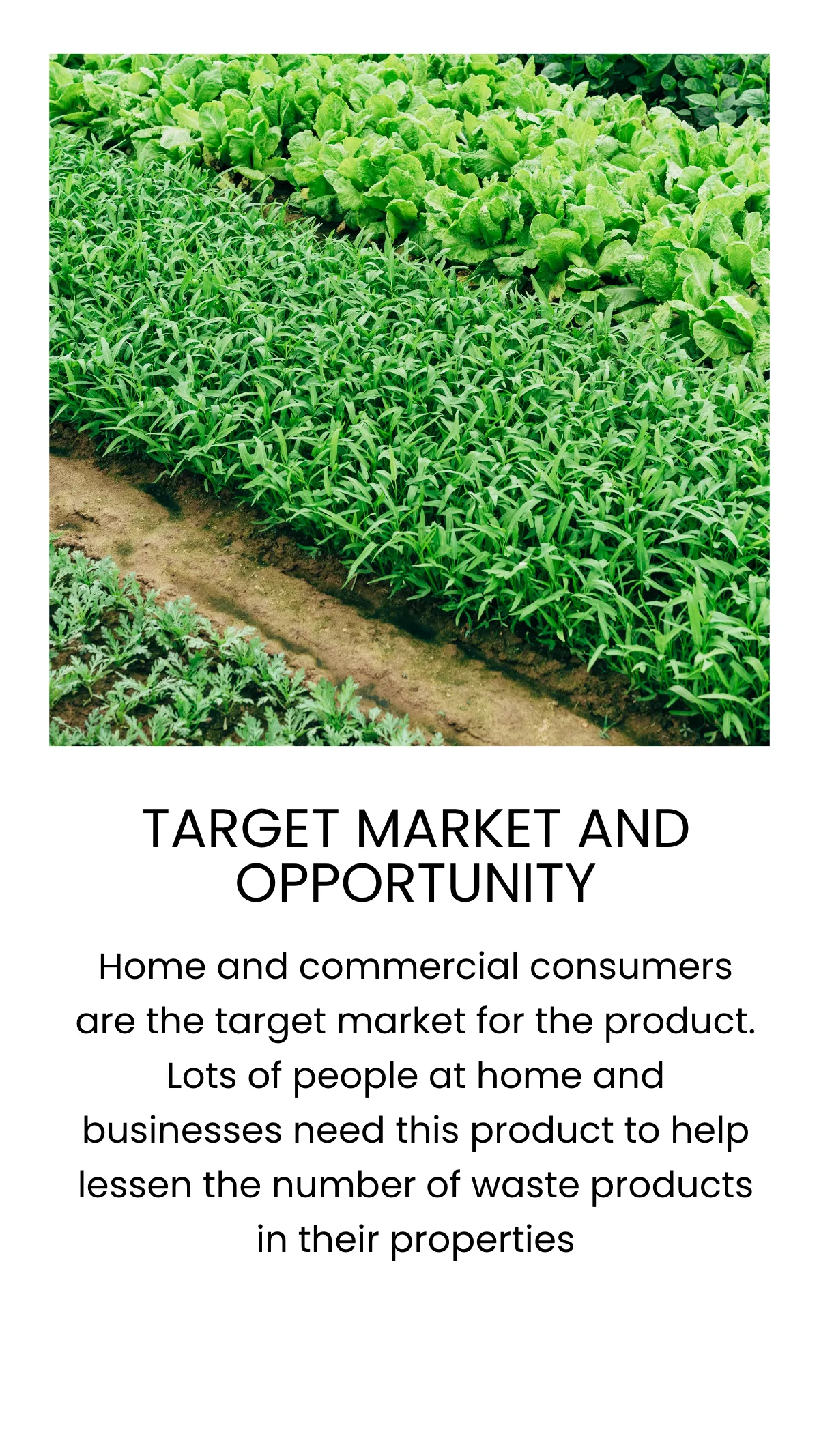 Free Startup Pitch Deck Mobile Presentation Template to Edit Online