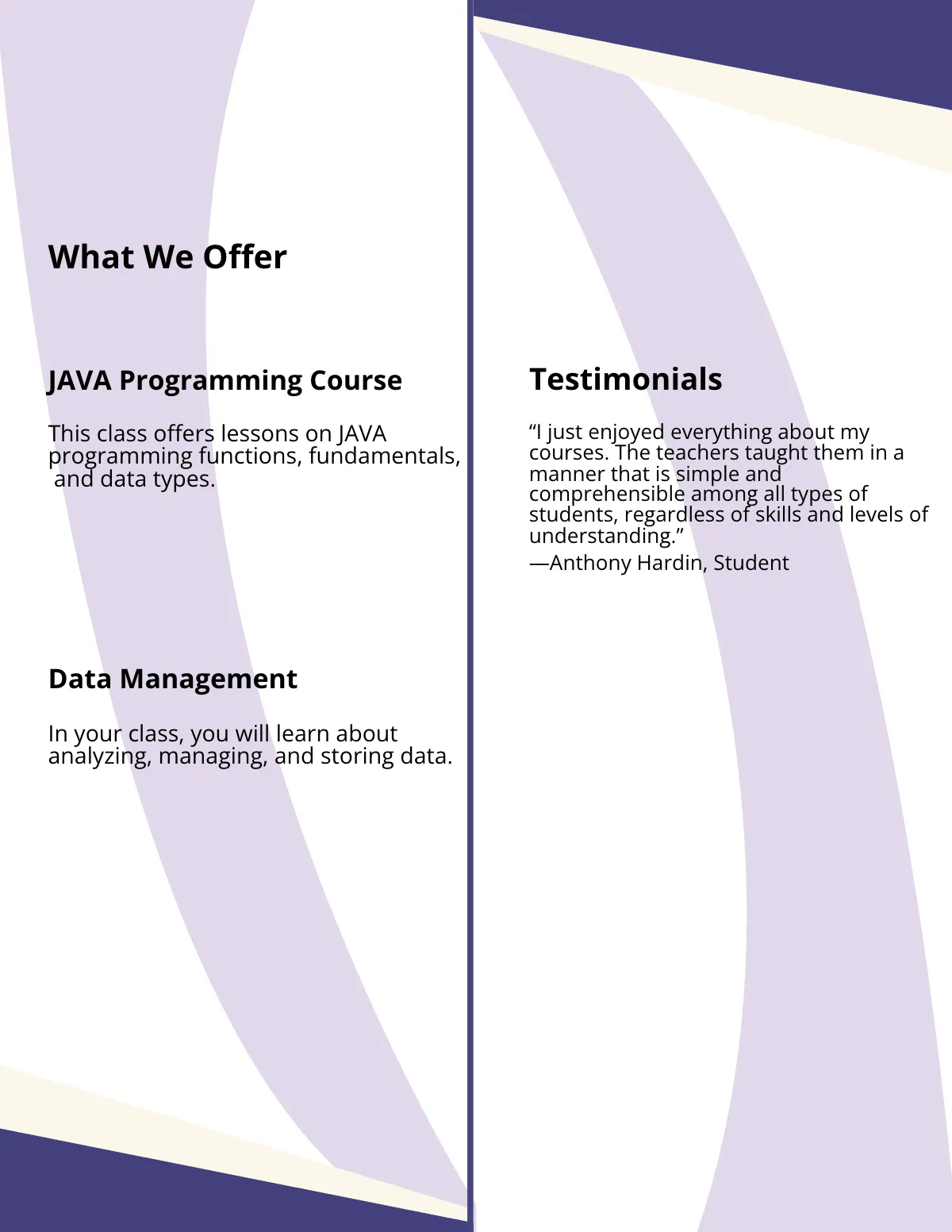 Free Computer Institute Class Brochure Template to Edit Online