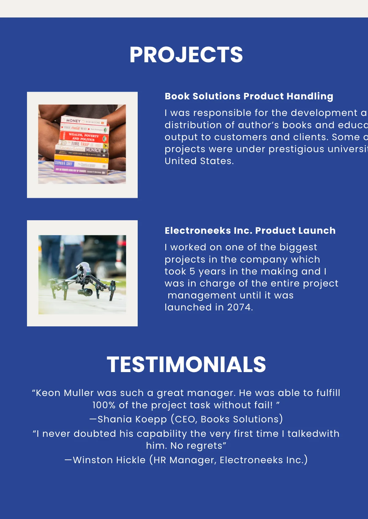 Free Company Portfolio Sample Template to Edit Online