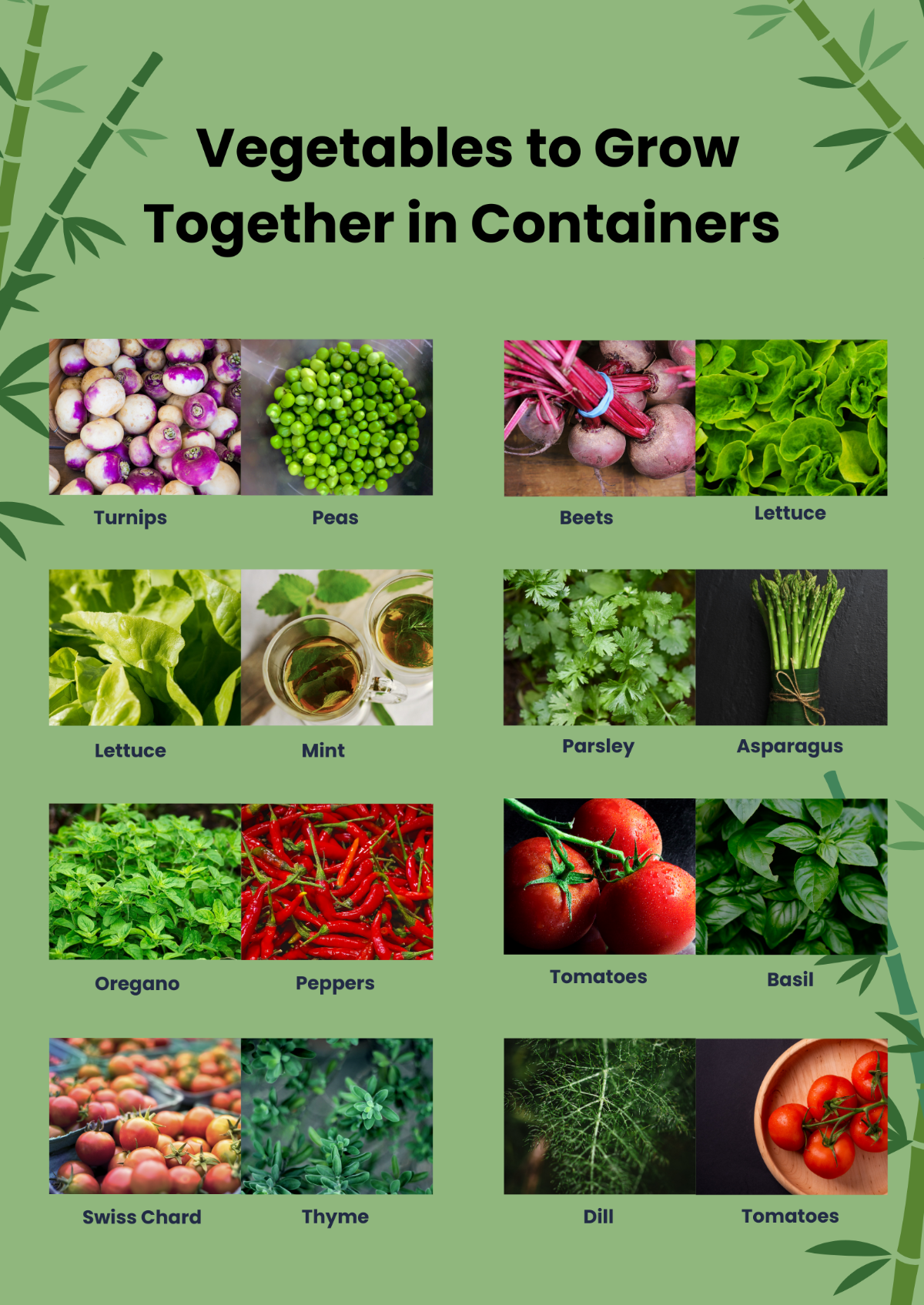 Container Companion Planting Chart Template