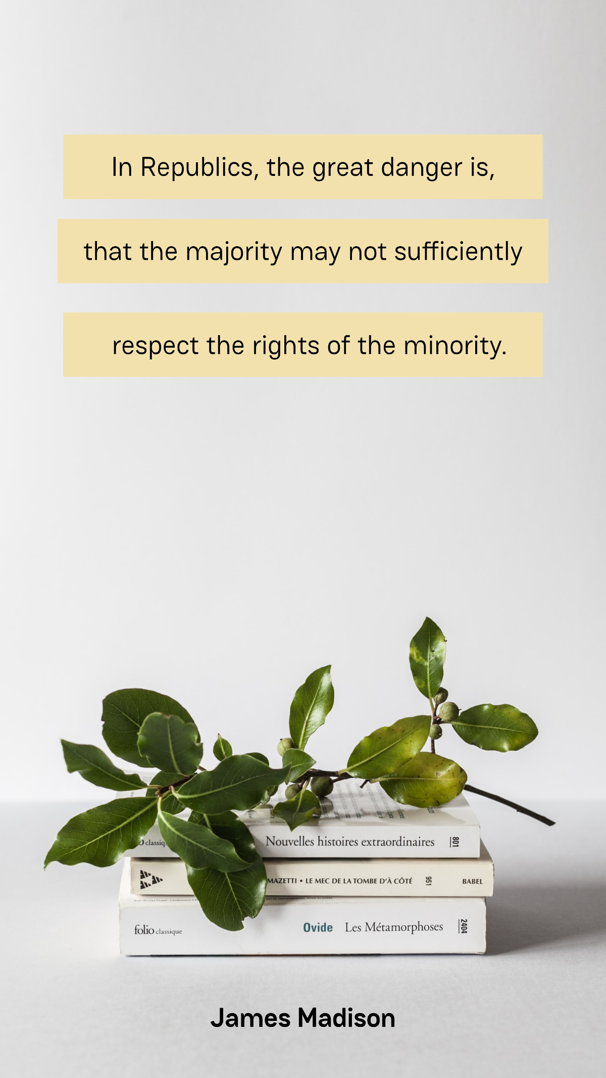 In Republics, the great danger is, that the majority may not sufficiently respect the rights of the minority. - James Madison Template