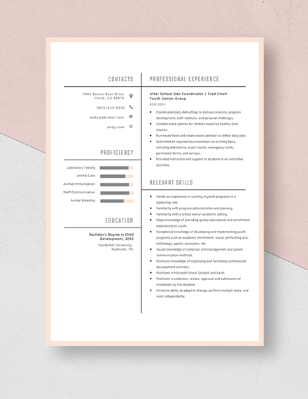 After School Site Coordinator Resume Template Word Apple Pages 